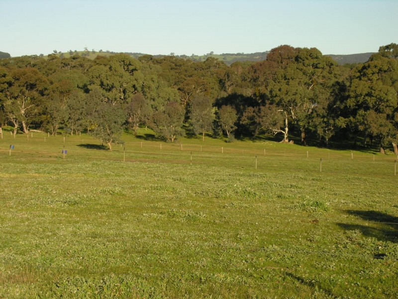 Lot 1 Needles Road, Williamstown SA 5351