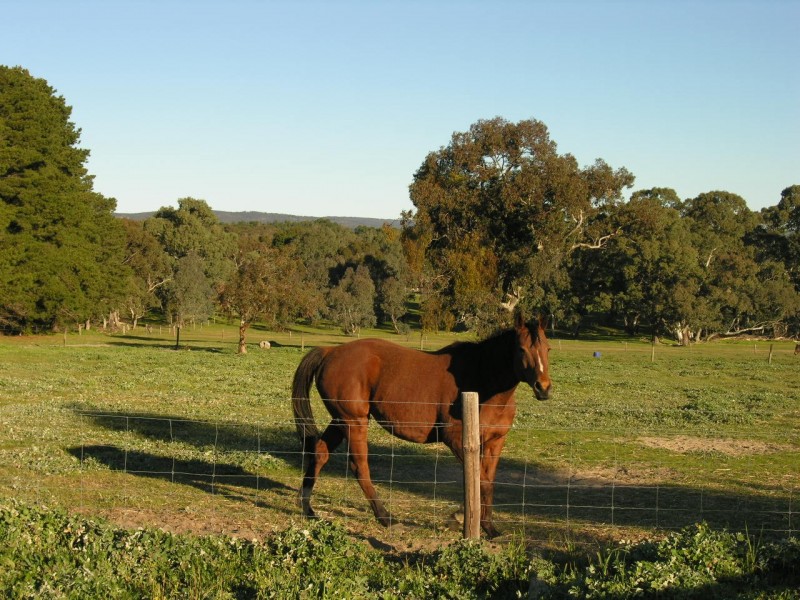 Lot 1 Needles Road, Williamstown SA 5351