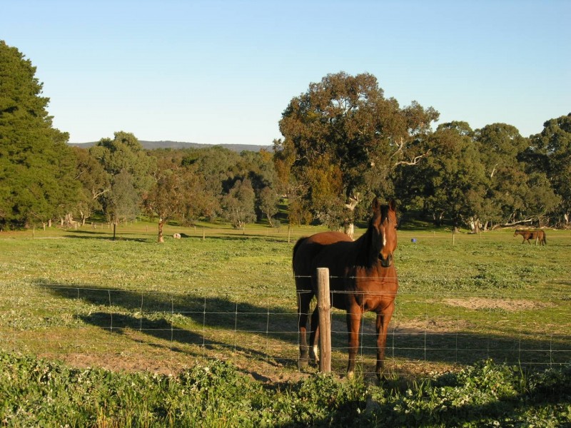 Lot 1 Needles Road, Williamstown SA 5351