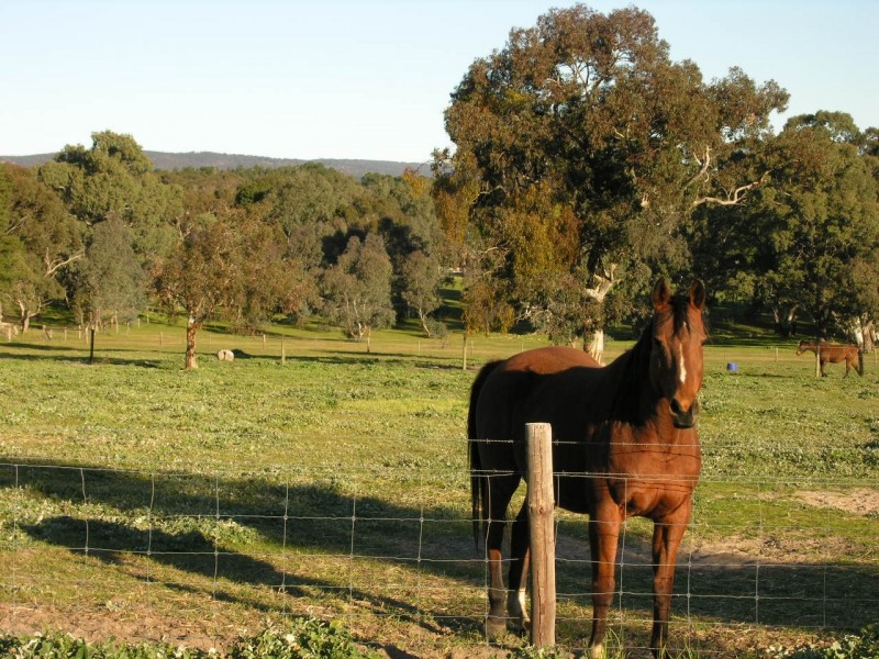 Lot 1 Needles Road, Williamstown SA 5351