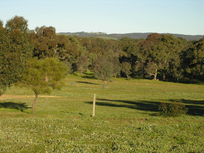 Lot 1 Needles Road, Williamstown SA 5351