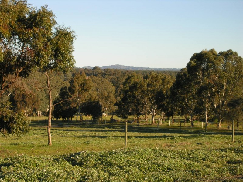 Lot 1 Needles Road, Williamstown SA 5351