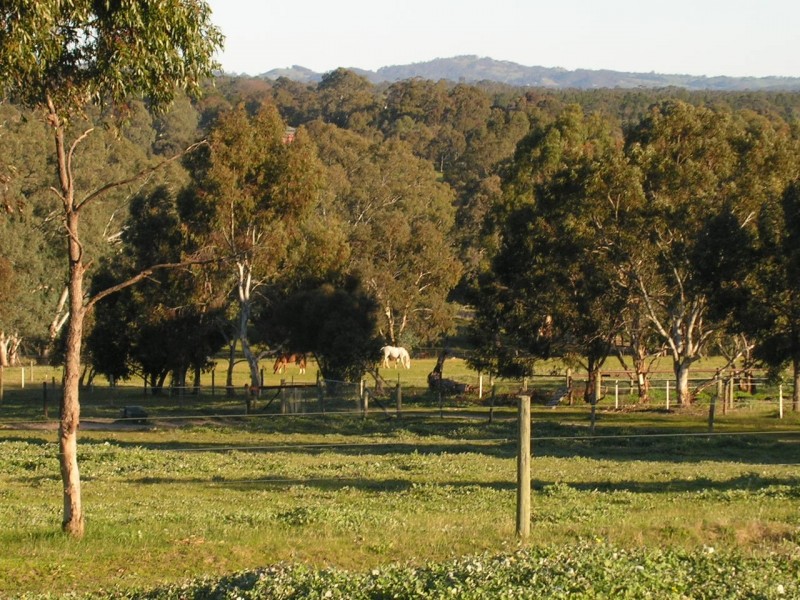 Lot 1 Needles Road, Williamstown SA 5351