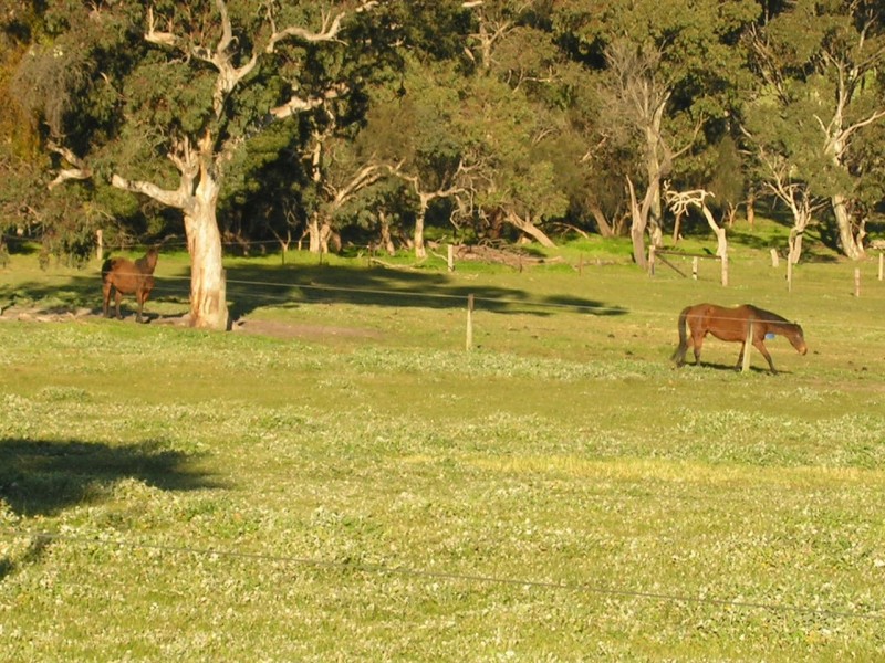 Lot 1 Needles Road, Williamstown SA 5351