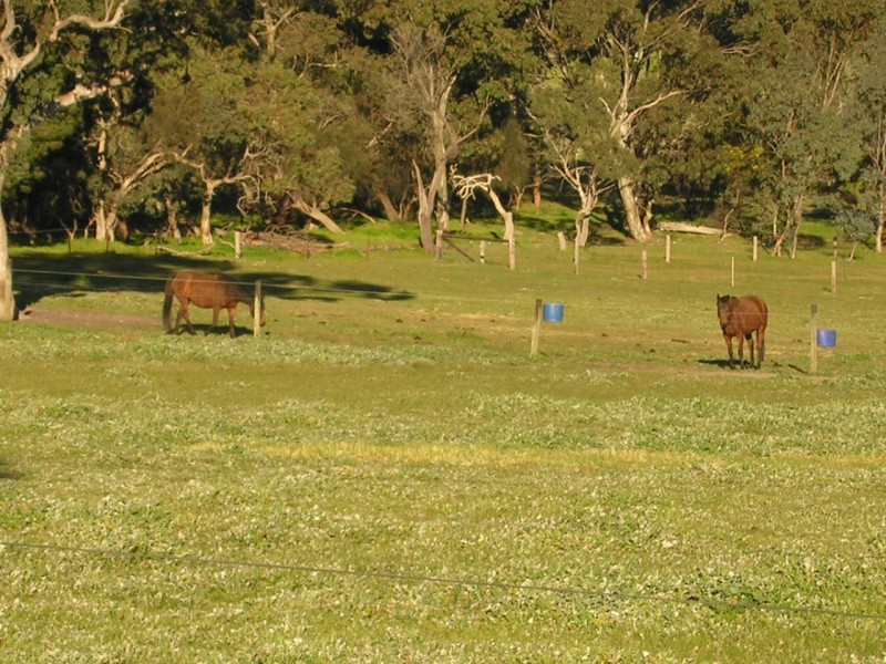 Lot 1 Needles Road, Williamstown SA 5351