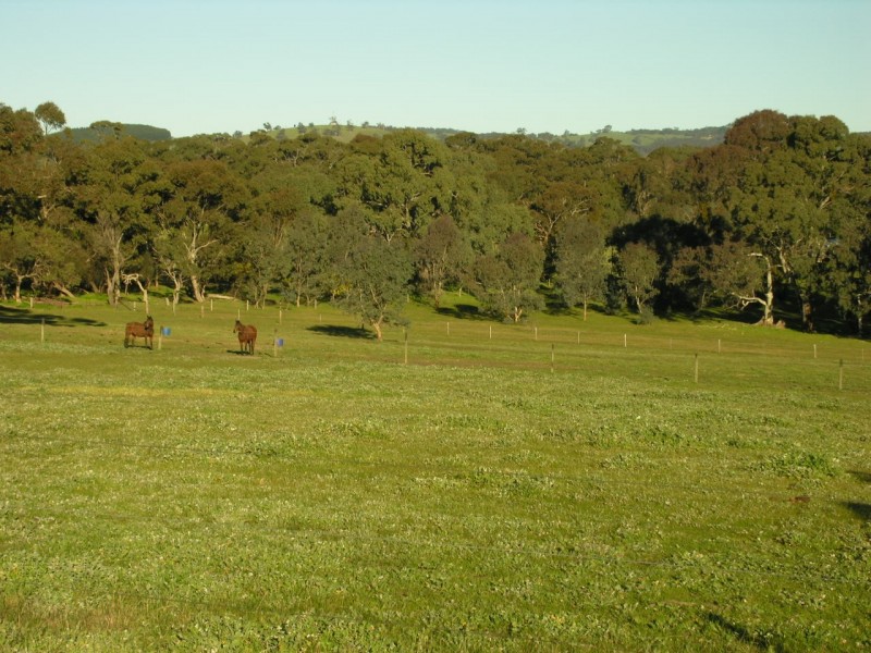 Lot 1 Needles Road, Williamstown SA 5351