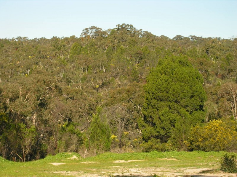 Section 197 Goldfields Road (Barossa Goldfields), Cockatoo Valley SA 5351