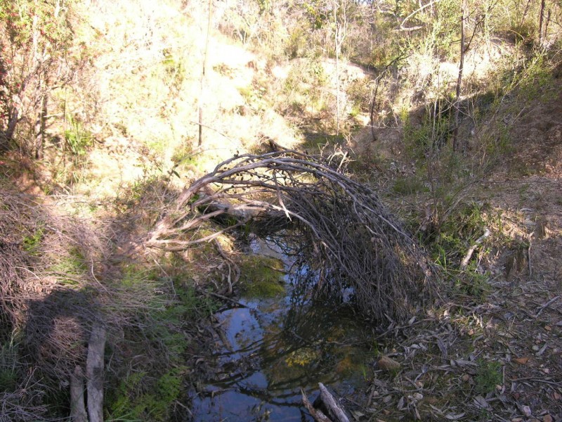 Section 197 Goldfields Road (Barossa Goldfields), Cockatoo Valley SA 5351