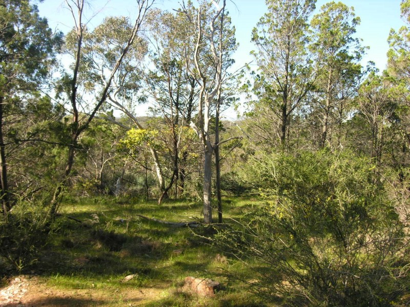 Section 197 Goldfields Road (Barossa Goldfields), Cockatoo Valley SA 5351