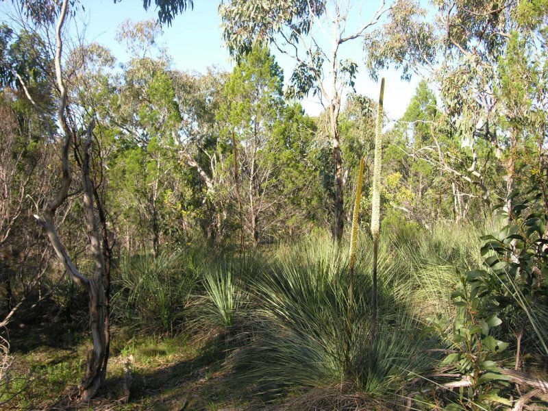 Section 197 Goldfields Road (Barossa Goldfields), Cockatoo Valley SA 5351
