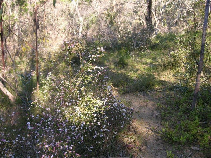Section 197 Goldfields Road (Barossa Goldfields), Cockatoo Valley SA 5351