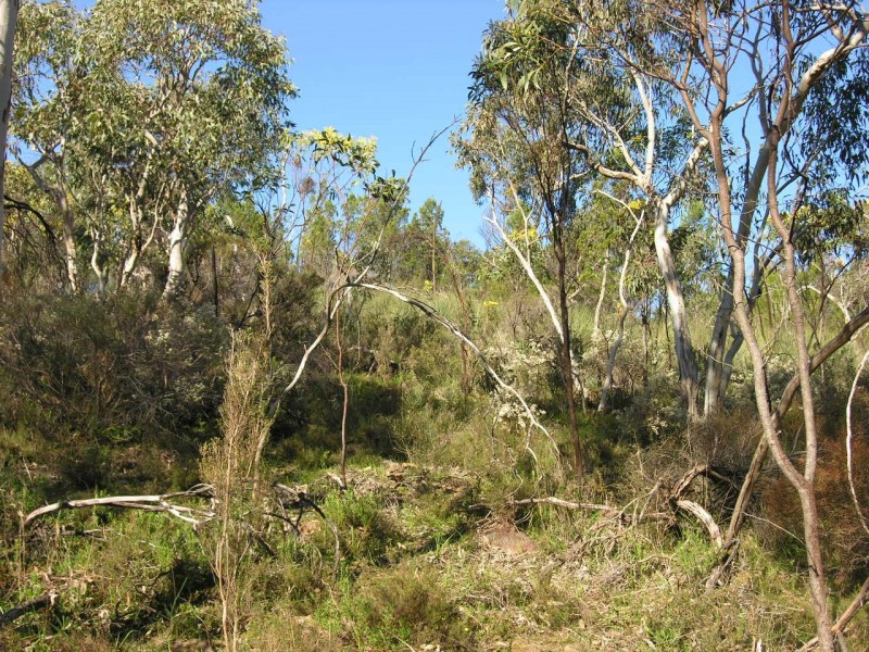 Section 197 Goldfields Road (Barossa Goldfields), Cockatoo Valley SA 5351