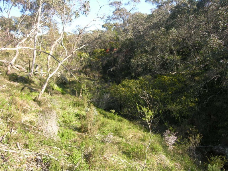 Section 197 Goldfields Road (Barossa Goldfields), Cockatoo Valley SA 5351