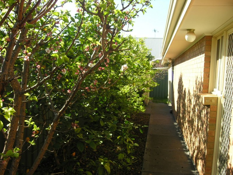 13 Birkett Street, Evanston SA 5116