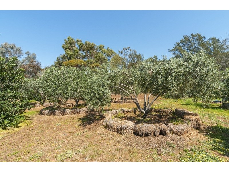 45 Harris Road, Hillier SA 5116