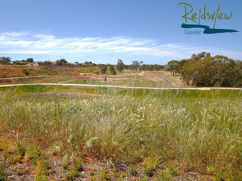 Lot 56 Cunningham Street, Reid SA 5118