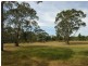 Lot 103 Gottwald Road, Williamstown SA 5351