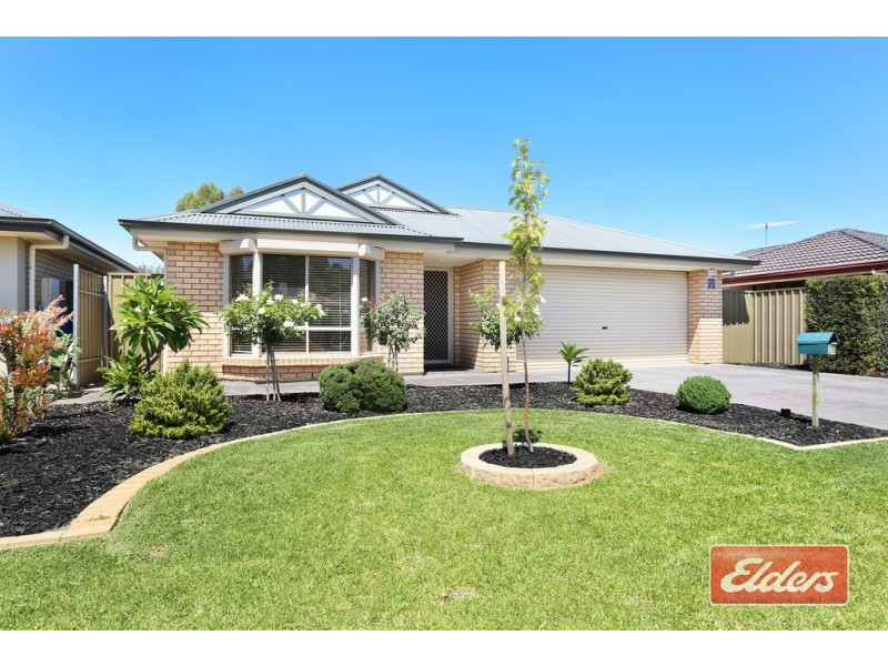 38 Britha Avenue, Evanston SA 5116