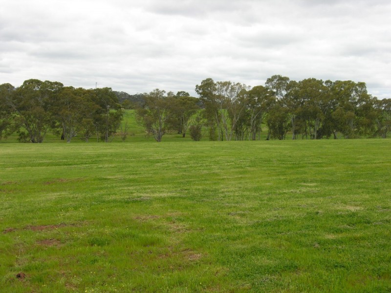 Lot 16 Military Place, Cockatoo Valley SA 5351