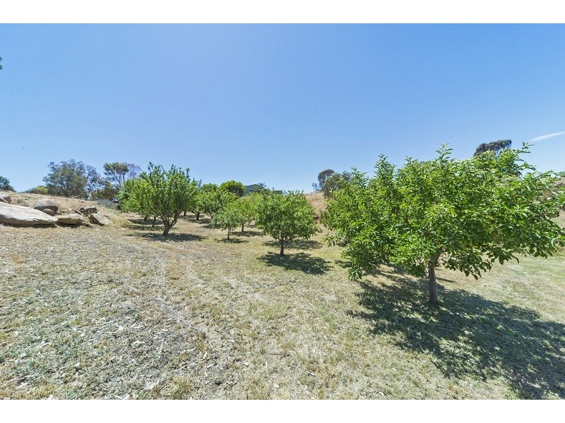 115 Church Road, Springton SA 5235