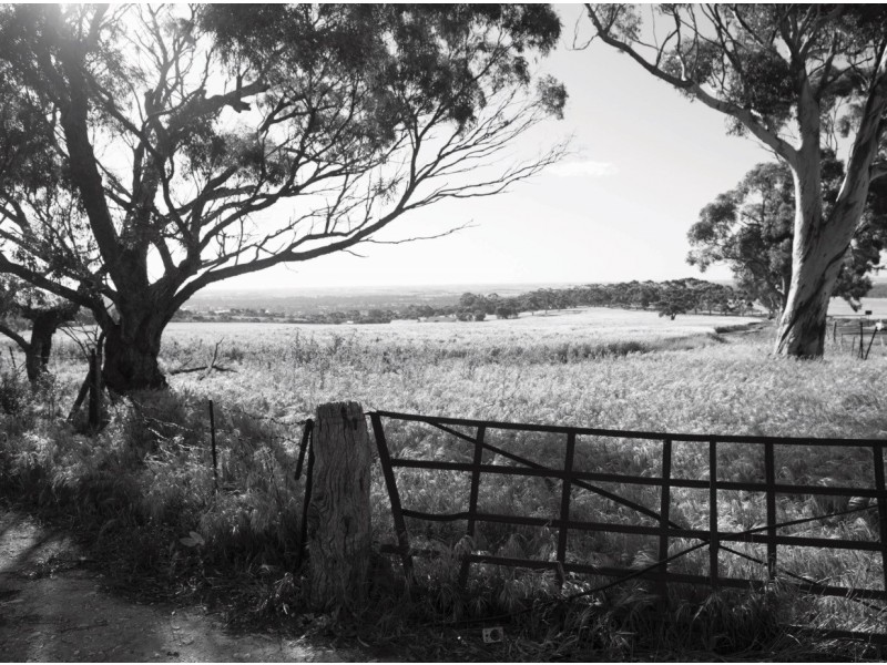 Lot 49 Filsell Terrace, Gawler South SA 5118
