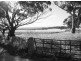 Lot 128 Sullivan Grove, Gawler South SA 5118