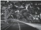 Lot 128 Sullivan Grove, Gawler South SA 5118