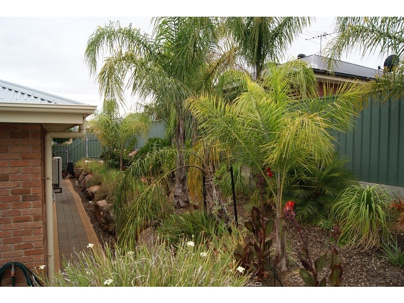 23 Selway Place, Evanston Park SA 5116