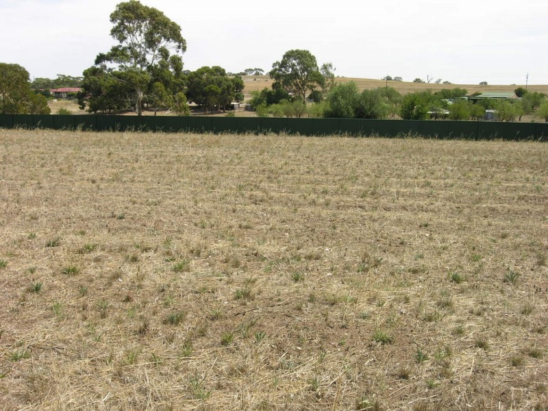 8 Station Place, Sandy Creek SA 5350