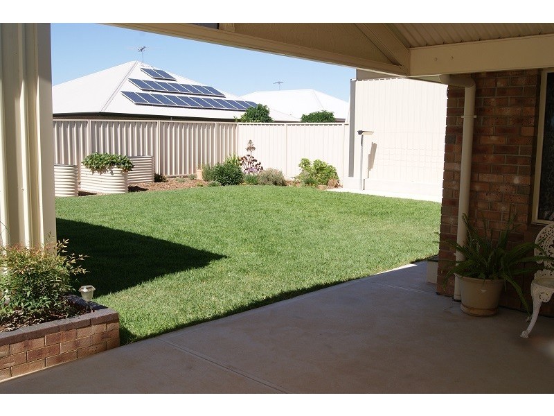 80 Borrow Street, Freeling SA 5372