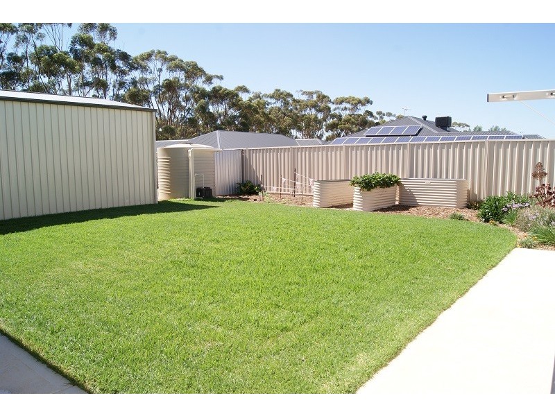 80 Borrow Street, Freeling SA 5372