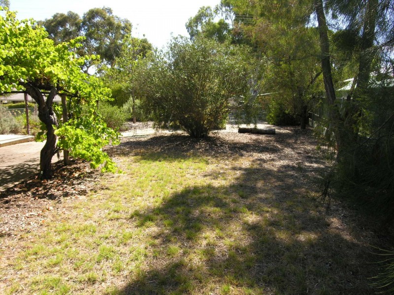 15 Jollytown Road, Lyndoch SA 5351