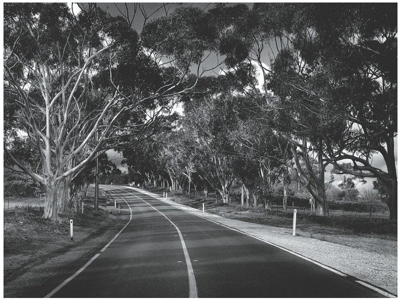 Lot 14 Hunt Place, Gawler South SA 5118