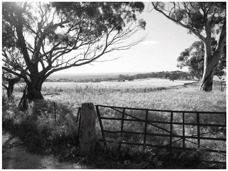 Lot 14 Hunt Place, Gawler South SA 5118