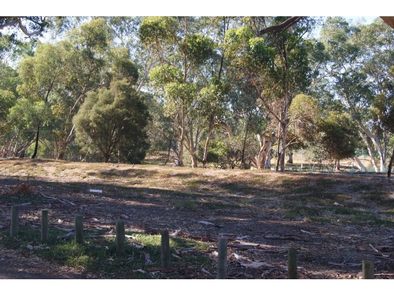 4/50 Panter Street, Willaston SA 5118