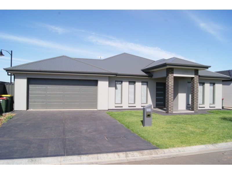 14 Wells Place, Evanston Gardens SA 5116