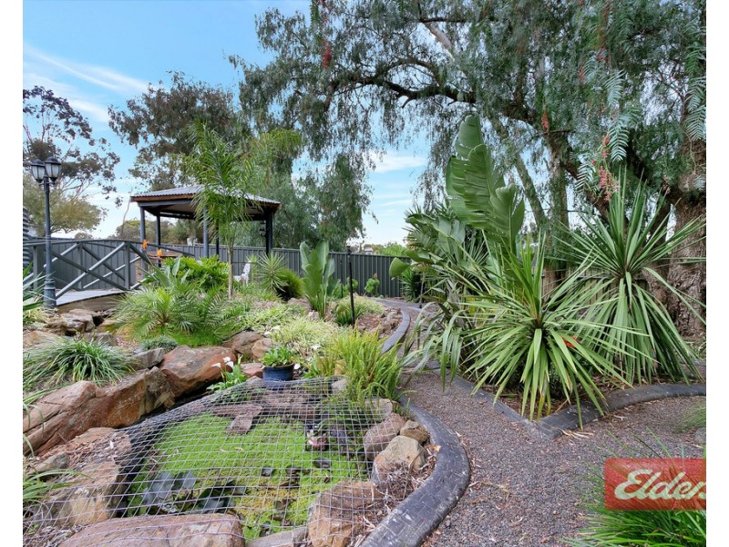 17 Hemaford Grove, Gawler East SA 5118