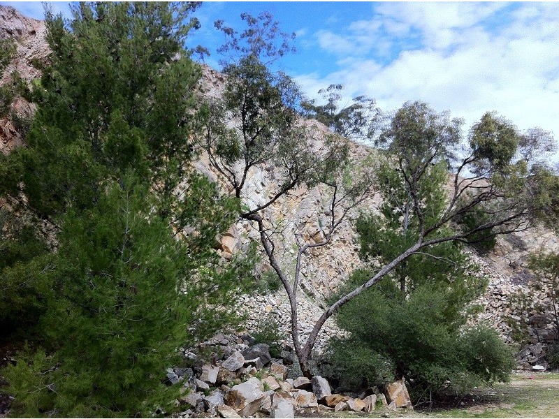 Lot 7 Stanley James Boulevard, Uleybury SA 5114