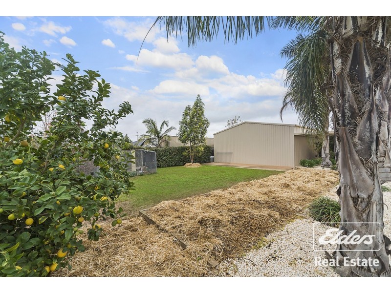 19 Twartz Road, Roseworthy SA 5371