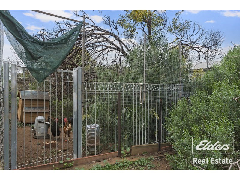 19 Twartz Road, Roseworthy SA 5371