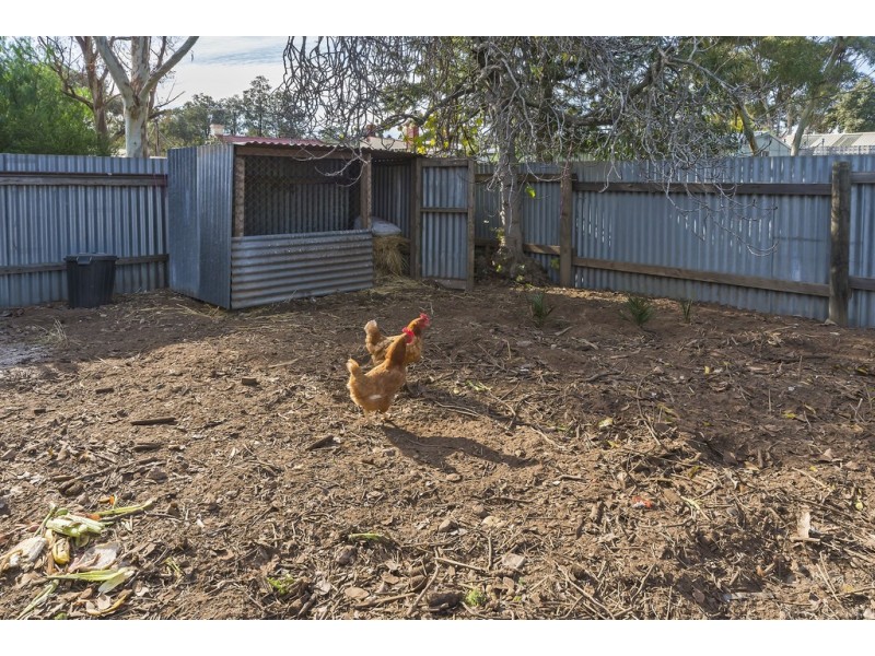 8 Second Street, Gawler South SA 5118