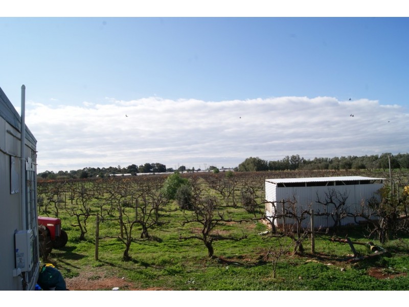 Lot 40 Dalkeith Road, Kudla SA 5115