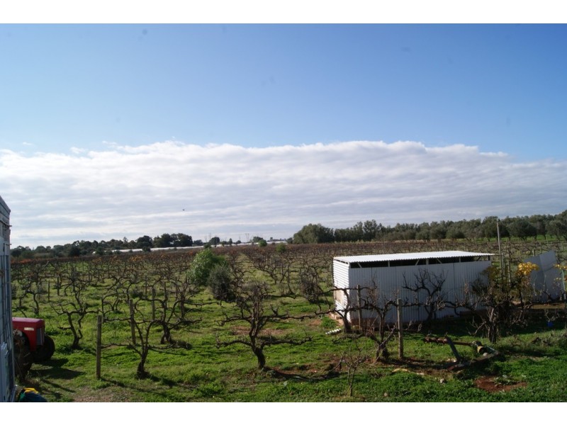 Lot 40 Dalkeith Road, Kudla SA 5115