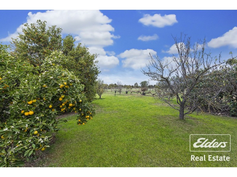 10 Sailplane Court, Ward Belt SA 5118