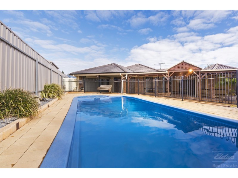 9 Creedon Close, Evanston Park SA 5116