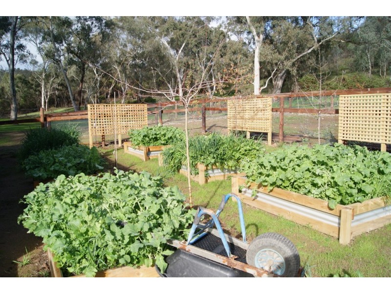 Lot 5 Speck Road, Cockatoo Valley SA 5351