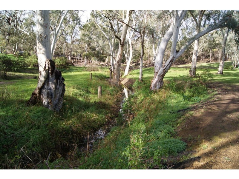 Lot 5 Speck Road, Cockatoo Valley SA 5351