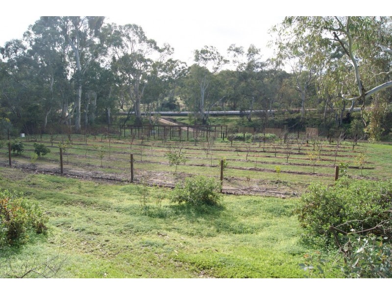 Lot 5 Speck Road, Cockatoo Valley SA 5351