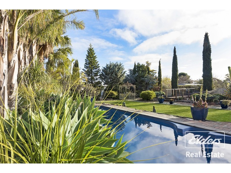 4 Medlow Road, Blakeview SA 5114
