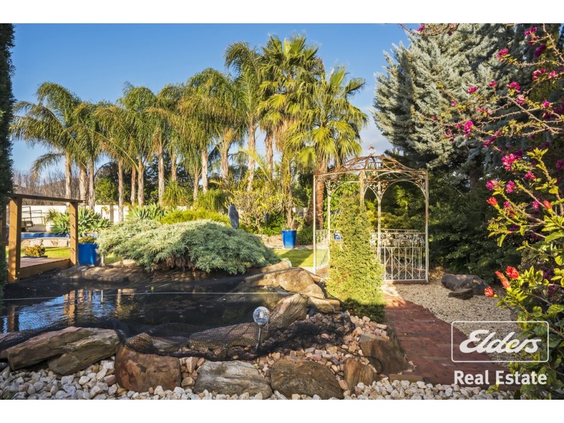 4 Medlow Road, Blakeview SA 5114